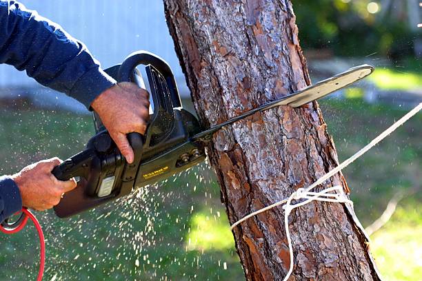 Lawn Irrigation Installation and Maintenance in Zillah, WA